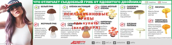 марки lsd Белокуриха