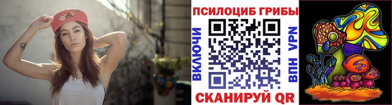 hydra ONION  даркнет сайт  Севск  Псилоцибиновые грибы Psilocybe 