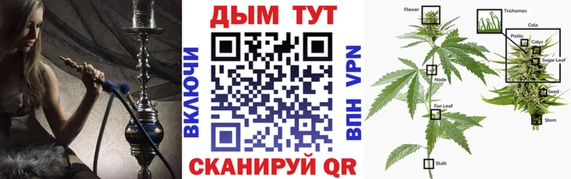 Каннабис MAZAR  Севск 
